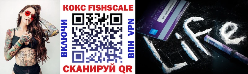 COCAIN Fish Scale  Купить где  Болотное 