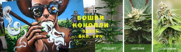 2c-b Горно-Алтайск