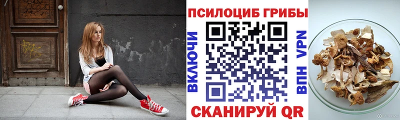 Купить  Болотное  Псилоцибиновые грибы MAGIC MUSHROOMS 